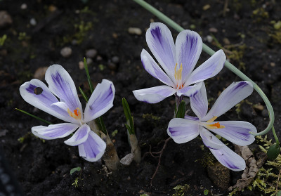 DSC_7297_DxO.jpg