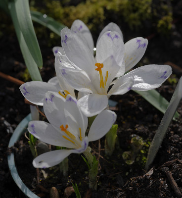 DSC_7298_DxO.jpg
