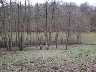 20230313_170106.jpg