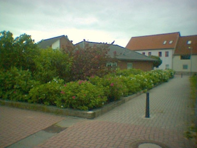Garten_-_06-05_2.jpg
