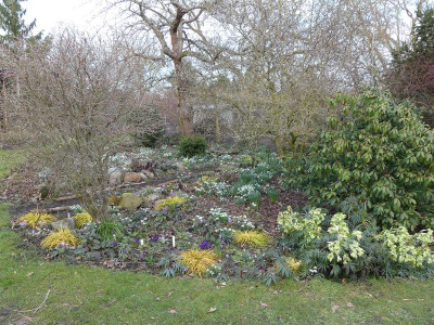 2023-03-13 Garteneinblick 1.jpg