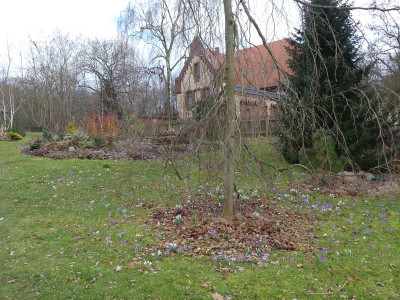 2023-03-13 Garteneinblick 8.jpg