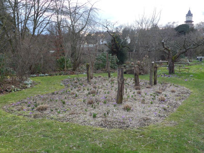 2023-03-13 Garteneinblick 9.jpg