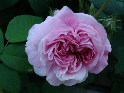 24.5.2008_18-48-49_0018.JPG