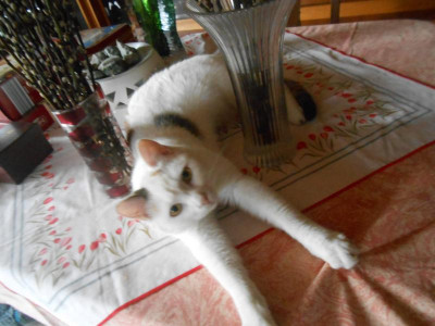 DSCN5450.JPG