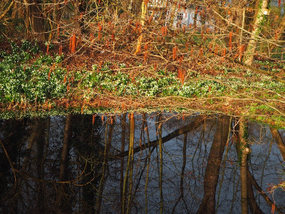 Märzenbecher 15.3.23 ue.JPG