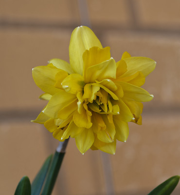 DSC_7312_DxO.jpg