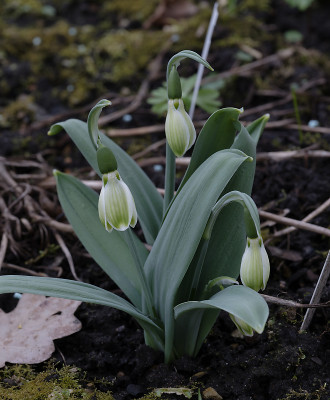 DSC_7333_DxO.jpg