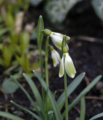 DSC_7326_DxO.jpg