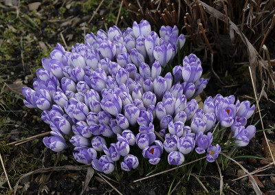 DSC_7316_DxO.jpg