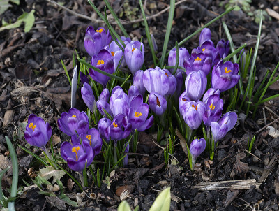 DSC_7322_DxO.jpg