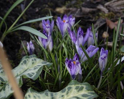 DSC_7325_DxO.jpg