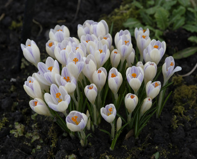 DSC_7324_DxO.jpg