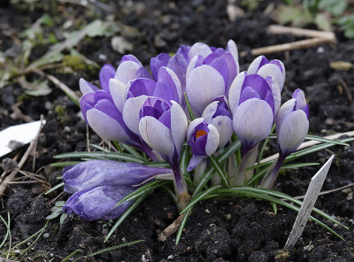 DSC_7321_DxO.jpg