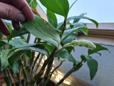 20230316_074413.jpg