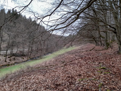 20230316_160822.jpg