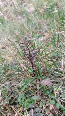 IMG-20230317-WA0020.jpeg