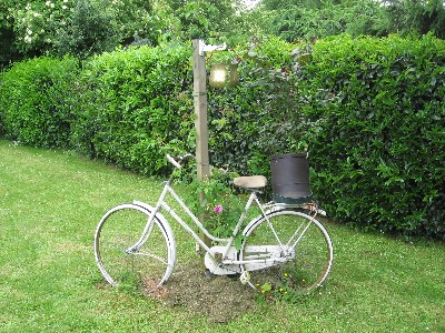Rosenfahrrad.JPG