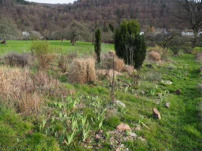 Irisquartiere P3180126.JPG