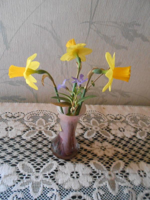 DSCN5614.JPG