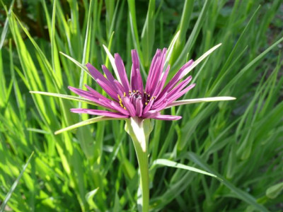 25.05.2008.50.JPG