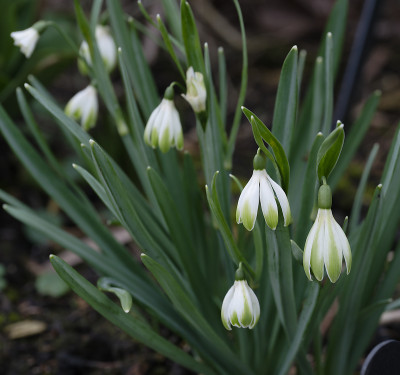 DSC_7353_DxO.jpg
