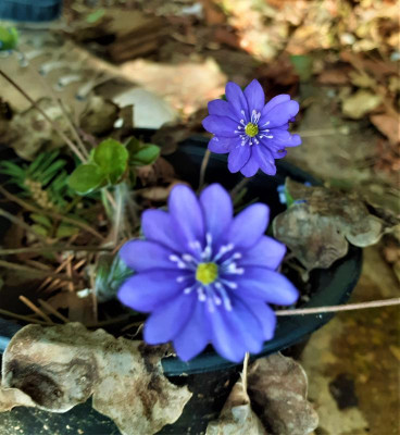 20230319_115841.jpg