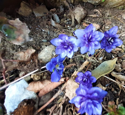 20230319_123813.jpg