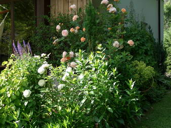 2004_025_W.C._und_A.D.jpg
