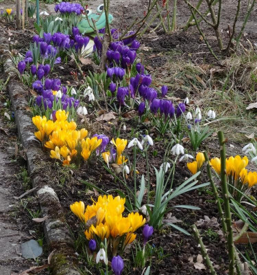 frühling_02.jpg