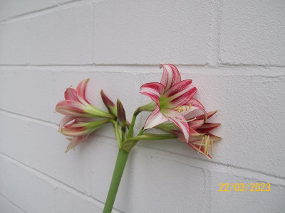 100_9173.JPG
