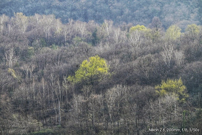 _DSC5323-01.jpeg