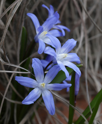 DSC_7346_DxO.jpg