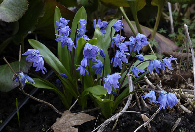 DSC_7360_DxO.jpg