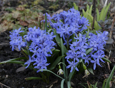 DSC_7358_DxO.jpg