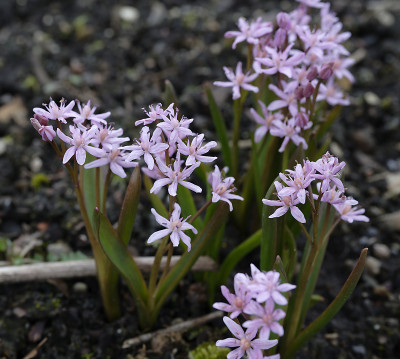 DSC_7350_DxO.jpg