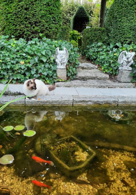 Am Teich.jpg
