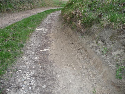 P1160952.JPG