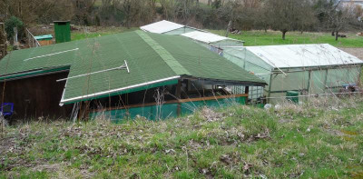 Gartenhaus-Nachbar.jpg