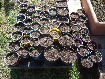 P1160871.JPG