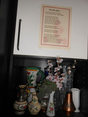 DSCN5644.JPG