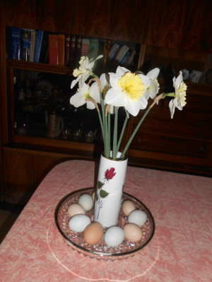 DSCN5654.JPG