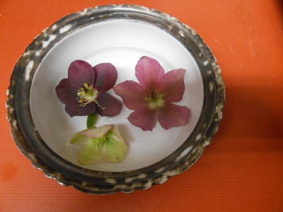 DSCN5683.JPG