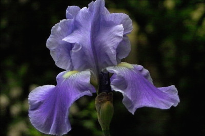 Sapphire_Hills_9_verkleinert.jpg