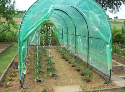 000_2758_Tomatentunnel_Mai_08.jpg