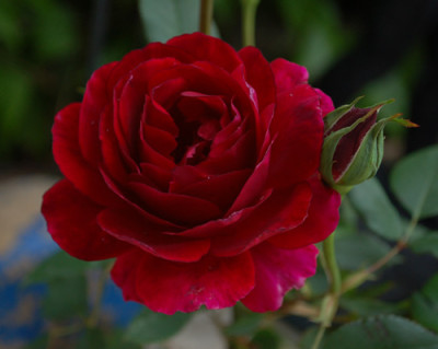 Muhme_Loffler_0010__23867.jpg
