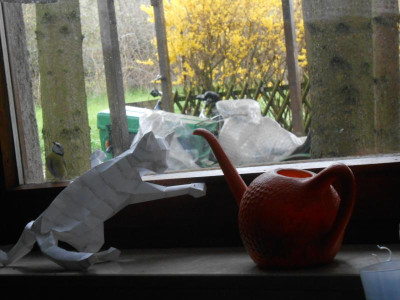 DSCN5698.JPG