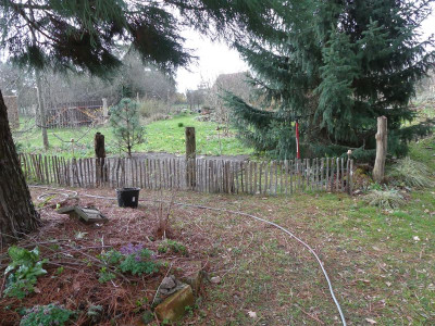 2023-03-26 Garteneinblick 5.jpg