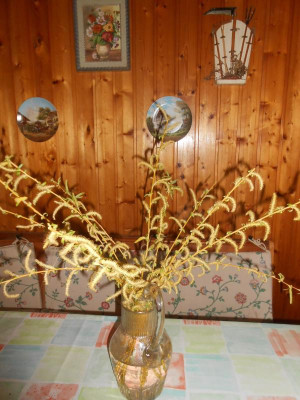 DSCN5702.JPG