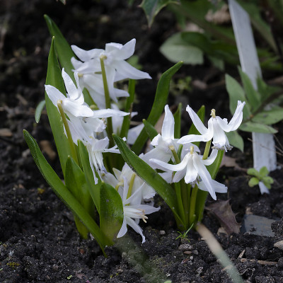 DSC_7412_DxO.jpg